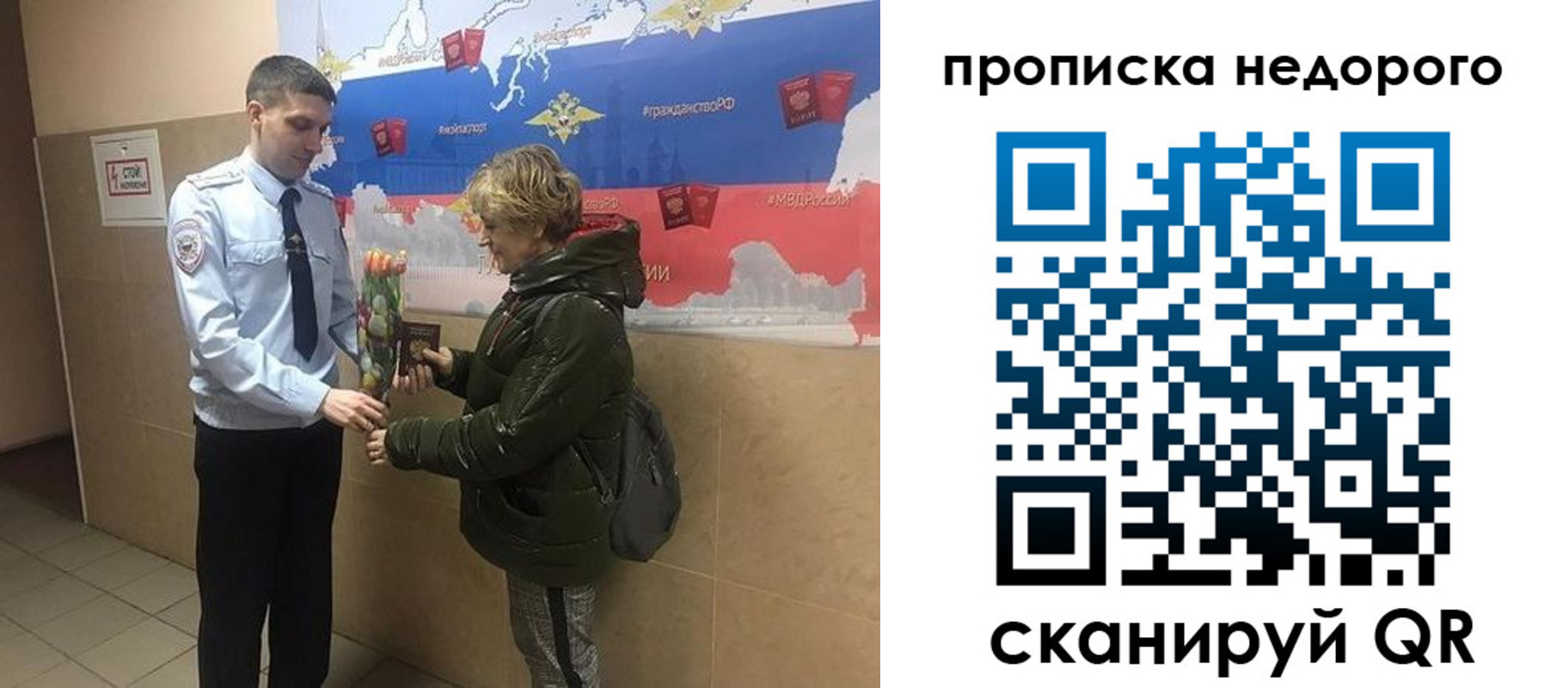 прописка для школы в Домодедово